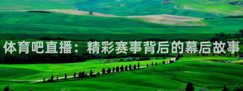 9球直播nba直播入口
