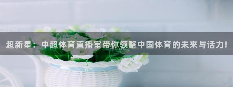 9球直播官方网站